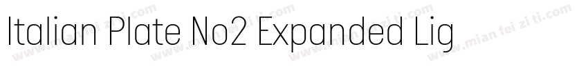 Italian Plate No2 Expanded Light字体转换
